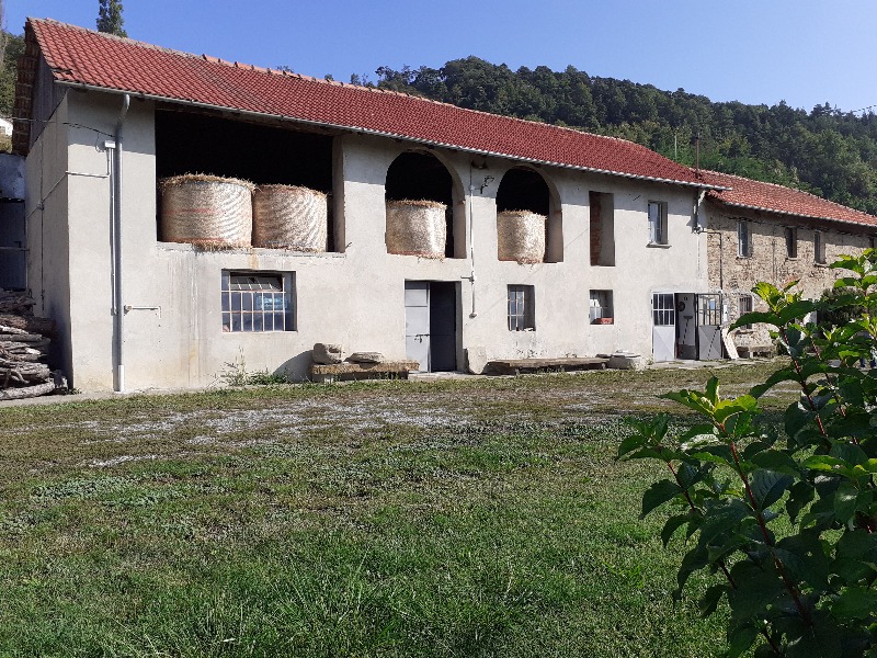 azienda agricola roccaverano vendita
